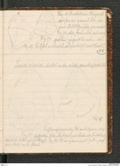 Seite 59, Tagebuch "Palästina (Tagebuch)" (NHMW-PRAE-BBB-80)